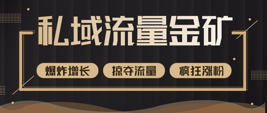 价值2200元私域流量的金矿，循环获取各大媒体精准流量，无限复制网红的精准流量！-摸金项目网