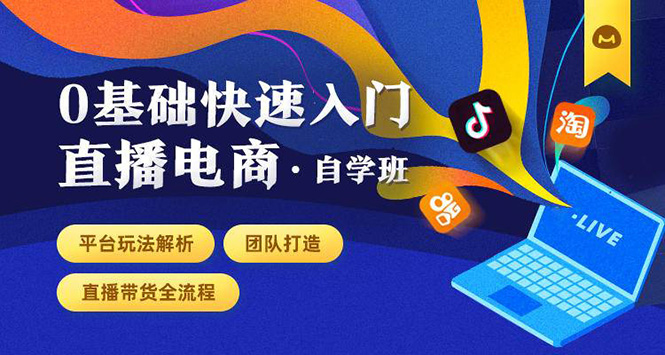 0基础快速入门直播电商课程：直播平台玩法解析-团队打造-带货全流程等环节-摸金项目网