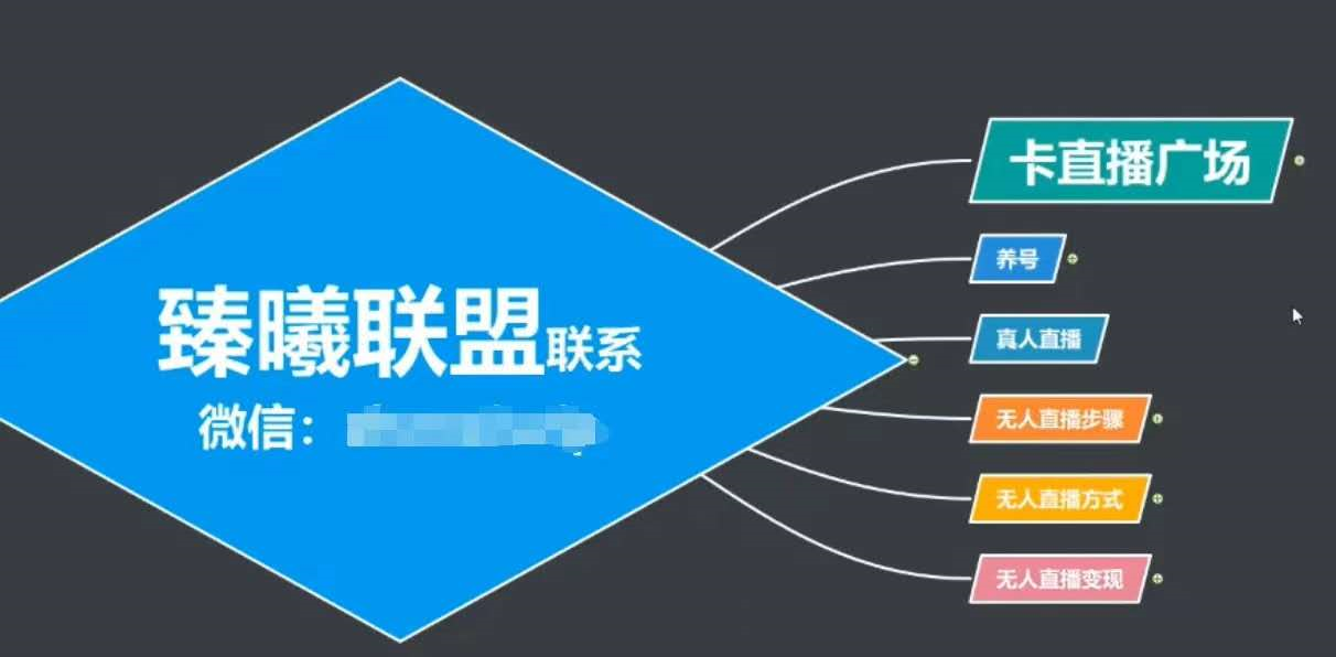臻曦联盟，最新无人直播万人在线技术理原及详细操作步骤解析（视频教程）-摸金项目网