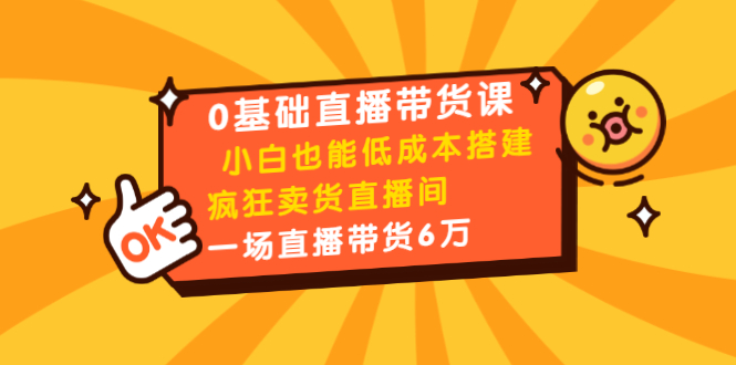 0基础直播带货课：小白也能低成本搭建疯狂卖货直播间：1场直播带货6万-摸金项目网