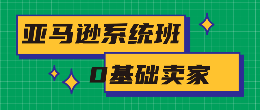 亚马逊系统班，专为0基础卖家量身打造，亚马逊运营流程与架构-摸金项目网