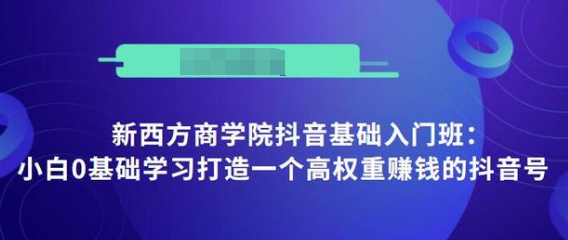 抖音基础入门班：小白0基础学习打造一个高权重赚钱的抖音号-摸金项目网
