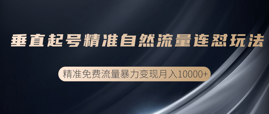 垂直起号精准自然流量连爆玩法，精准引流暴力变现月入10000+-摸金项目网