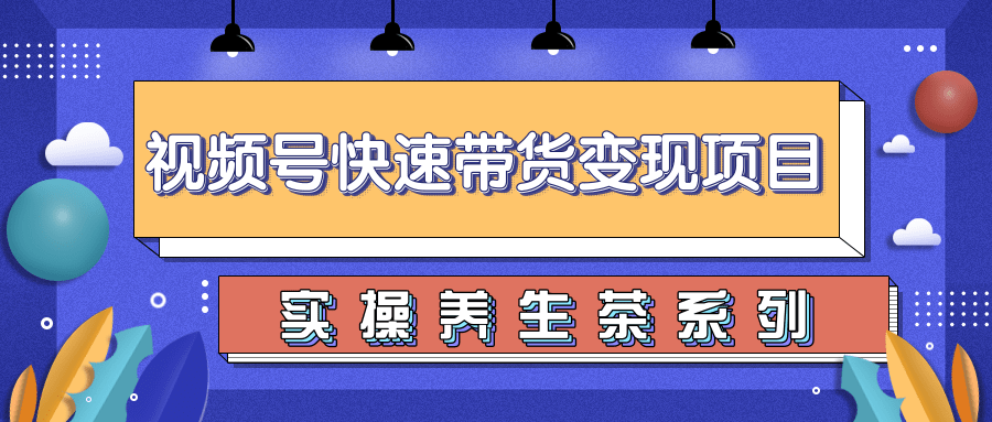 柚子视频号带货实操变现项目，零基础操作养身茶月入10000+-摸金项目网