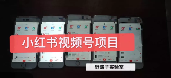 野路子小红书视频号1.0项目，直接上手操作就能赚钱的视频号项目-摸金项目网