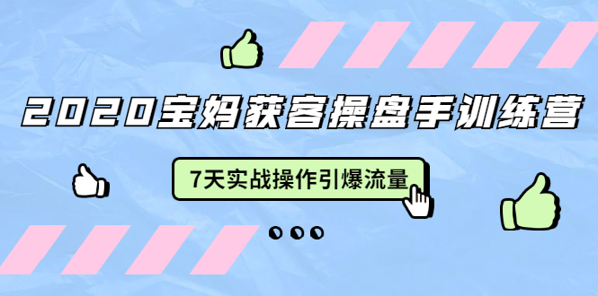 2020宝妈获客操盘手训练营：7天实战操作引爆 母婴、都市、购物宝妈流量-摸金项目网