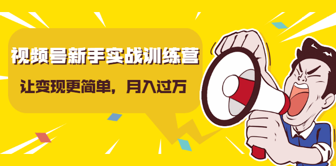 视频号新手实战训练营，让变现更简单，玩赚视频号，轻松月入过万-摸金项目网
