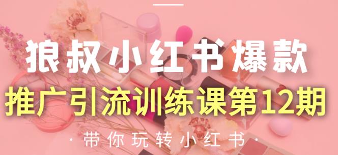 狼叔小红书爆款推广引流训练课第12期，手把手带你玩转小红书-摸金项目网