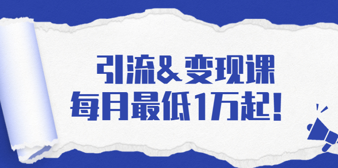 引流&变现课：分享一整套流量方法以及各个渠道收入，每月最低1万起！-摸金项目网