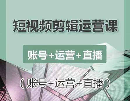 南小北短视频剪辑运营课：账号+运营+直播，零基础学习手机剪辑【视频课程】-摸金项目网