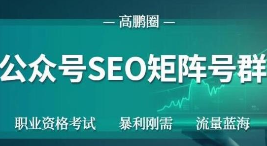 高鹏圈公众号SEO矩阵号群，实操20天纯收益25000+，普通人都能做-摸金项目网