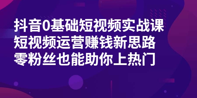 抖音0基础短视频实战课，短视频运营赚钱新思路，零粉丝也能助你上热门-摸金项目网