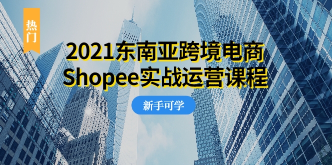 2021东南亚跨境电商Shopee实战运营课程，0基础、0经验、0投资的副业项目-摸金项目网