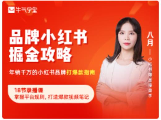 品牌小红书掘金攻略，年销千万的小红书品牌打爆款指南-摸金项目网