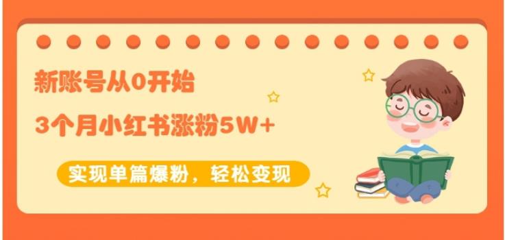 生财小红书涨粉变现：新账号从0开始3个月小红书涨粉5W+实现单篇爆粉-摸金项目网