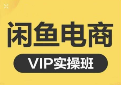 鱼客·闲鱼电商零基础入门到进阶VIP实战课程，帮助你掌握闲鱼电商所需的各项技能-摸金项目网
