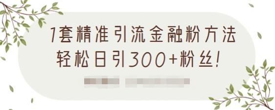 1套精准引流金融粉方法，轻松日引300+粉丝-摸金项目网