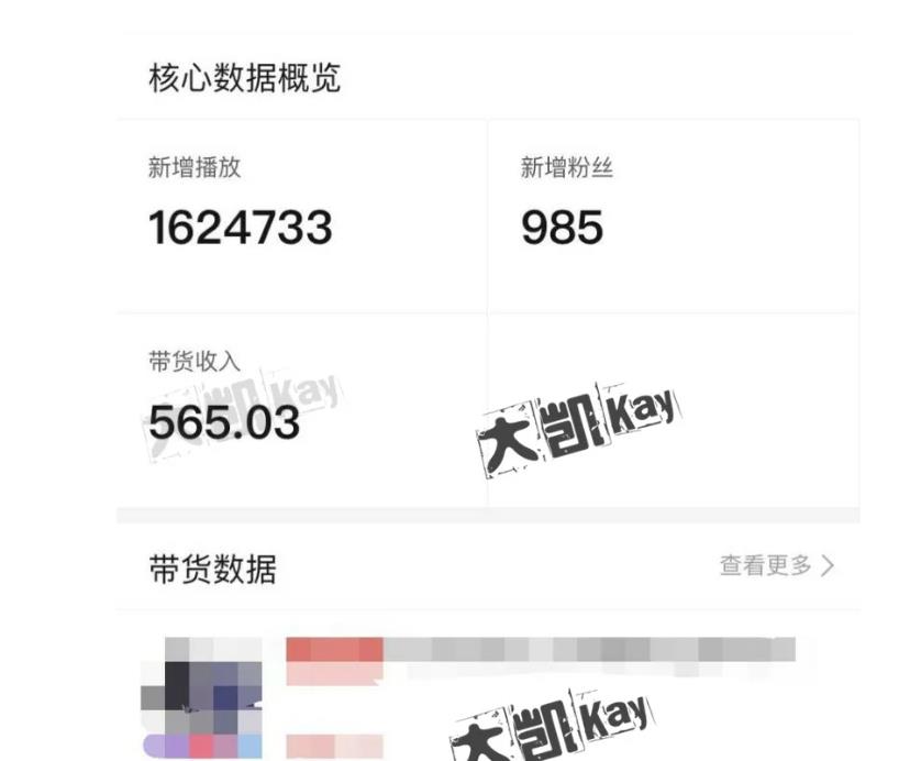大凯进阶圈新玩法之拼多多视频玩法，利润大概一个号一天能有500~1500的左右!-摸金项目网