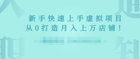 2022年虚拟项目实战指南，新手从0打造月入上万店铺-摸金项目网