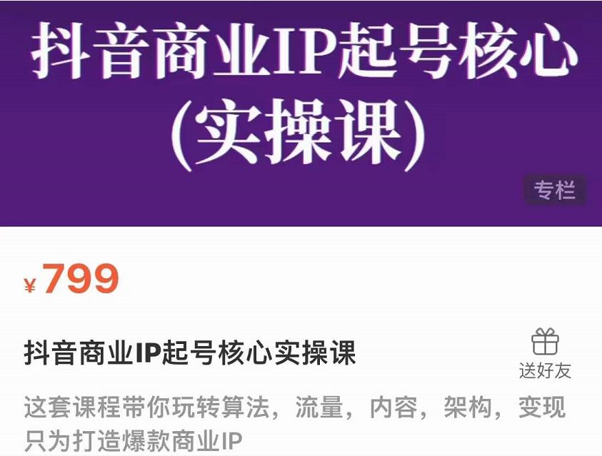 抖音商业IP起号核心实操课，带你玩转算法，流量，内容，架构，变现-摸金项目网