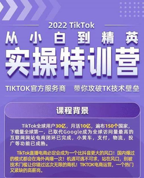 Seven漆·2022Tiktok从小白到精英实操特训营，带你掌握Tiktok账号运营-摸金项目网