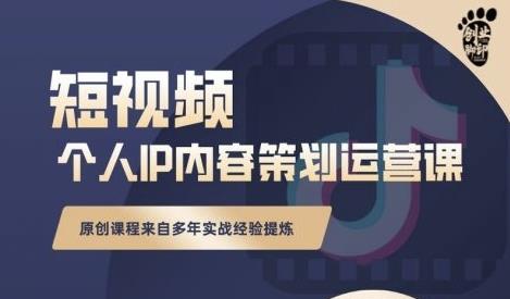 抖音短视频个人ip内容策划实操课，真正做到普通人也能实行落地-摸金项目网