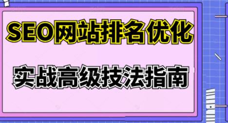 樊天华·SEO网站排名优化实战高级技法指南，让客户找到你-摸金项目网