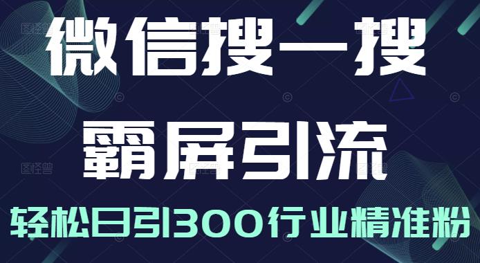 微信搜一搜霸屏引流课，打造被动精准引流系统，轻松日引300行业精准粉-摸金项目网