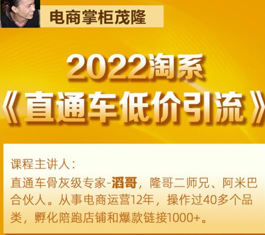茂隆2022直通车低价引流玩法，教大家如何低投入高回报的直通车玩法-摸金项目网