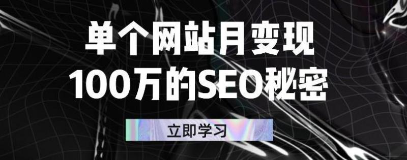 单个网站月变现100万的SEO秘密，百分百做出赚钱站点-摸金项目网