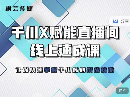 枫芸传媒-线上千川提升课，提升千川认知，提升千川投放效果-摸金项目网