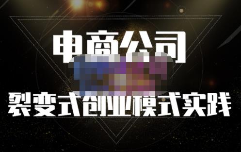 聚草堂·电商公司裂变式创业模式实践，电商卖家的人力资源管理分享-摸金项目网