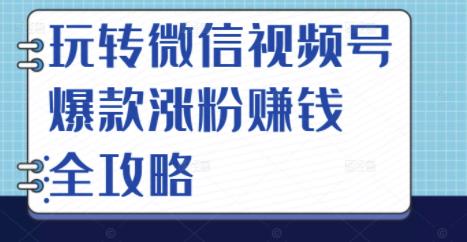 玩转微信视频号爆款涨粉赚钱全攻略，让你快速抓住流量风口，收获红利财富-摸金项目网