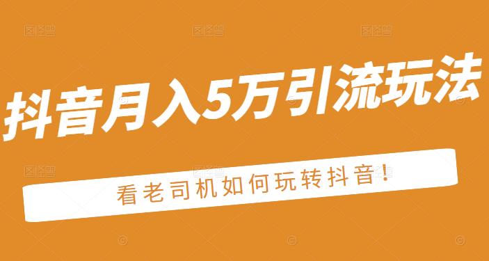 老古董·抖音月入5万引流玩法，看看老司机如何玩转抖音(附赠：抖音另类引流思路)-摸金项目网