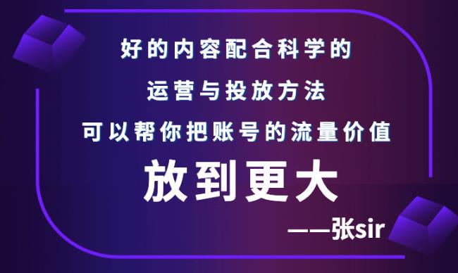 张sir账号流量增长课，告别海王流量，让你的流量更精准-摸金项目网
