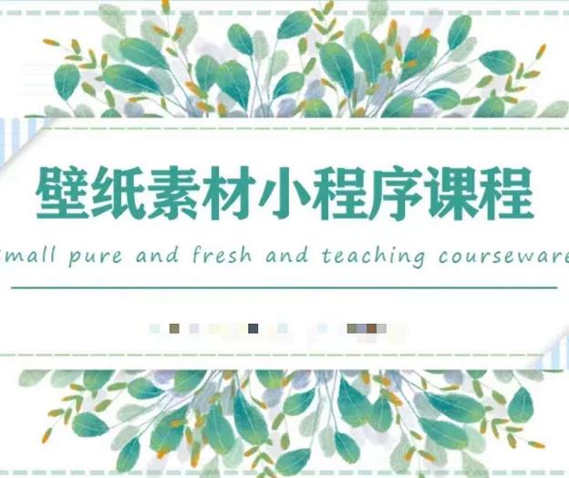 闪闪壁纸号运营教程，抓住图文风口，快速吸粉变现-摸金项目网