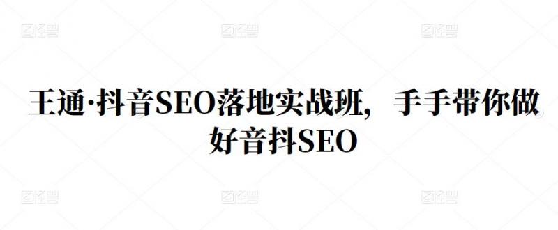 王通·抖音SEO落地实战班，手‬手带你做好音抖‬‬SEO-摸金项目网