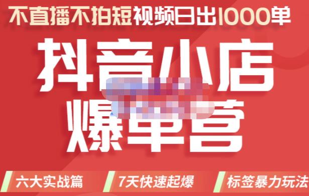 推易电商·2022年抖音小店爆单营，不直播、不拍短视频、日出1000单，暴力玩法-摸金项目网