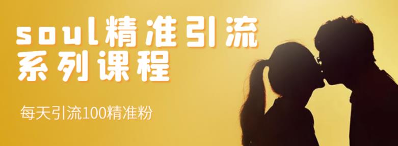 soul精准引流系列课程，每天引流100精准粉-摸金项目网
