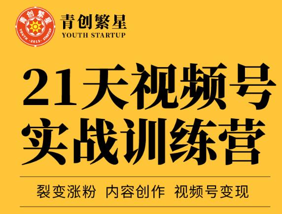 张萌21天视频号实战训练营，裂变涨粉、内容创作、视频号变现 价值298元-摸金项目网