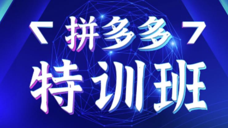 星雪教育·拼多多基础班+进阶班+突破班，用系统的学习模式快速改变现状价值3580元-摸金项目网