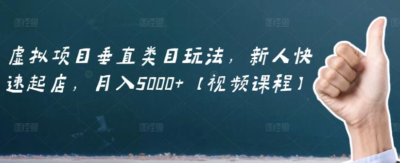 虚拟项目垂直类目玩法，新人快速起店，月入5000+【视频课程】-摸金项目网