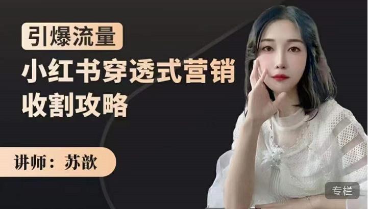 苏歆：小红书穿透式营销收割攻略，引爆流量，助你玩转小红书-摸金项目网