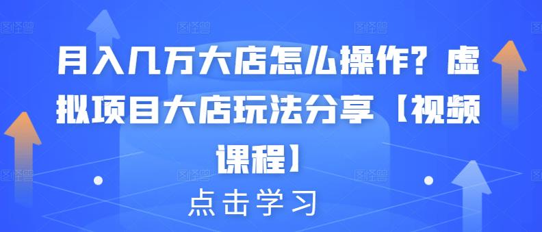 月入几万大店怎么操作？虚拟项目大店玩法分享【视频课程】-摸金项目网