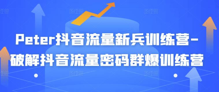 Peter抖音流量新兵训练营-破解抖音流量密码群爆训练营（新兵）-摸金项目网