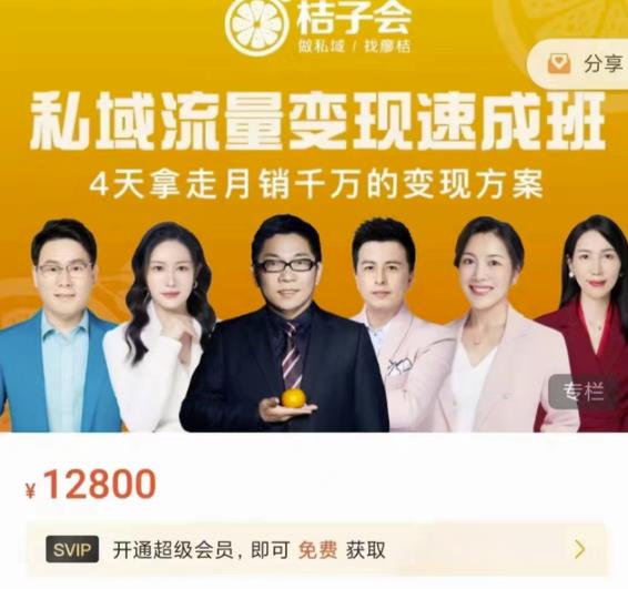 桔子会·私域流量变现速成班，4天拿走月销千万的变现方案 价值12800元-摸金项目网