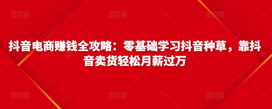 抖音电商赚钱全攻略：零基础学习抖音种草，靠抖音卖货轻松月薪过万-摸金项目网