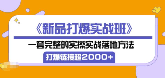 凌童《新品打爆实战班》,一套完整的实操实战落地方法，打爆链接超2000+（28节课)-摸金项目网