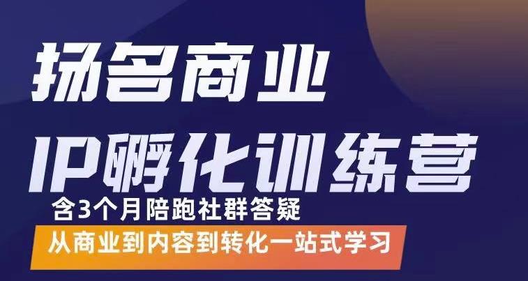杨名商业IP孵化训练营，从商业到内容到转化一站式学 价值5980元-摸金项目网