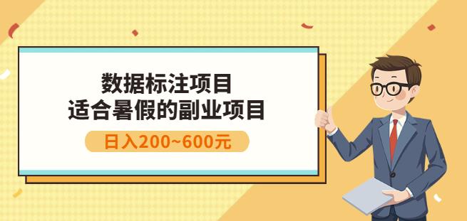 副业赚钱：人工智能数据标注项目，简单易上手，小白也能日入200+-摸金项目网